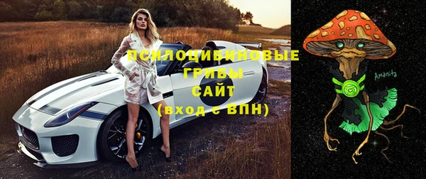 прущие крисы Лабытнанги