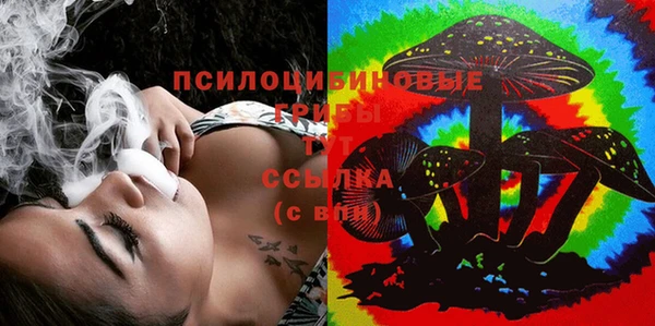 прущие крисы Лабытнанги