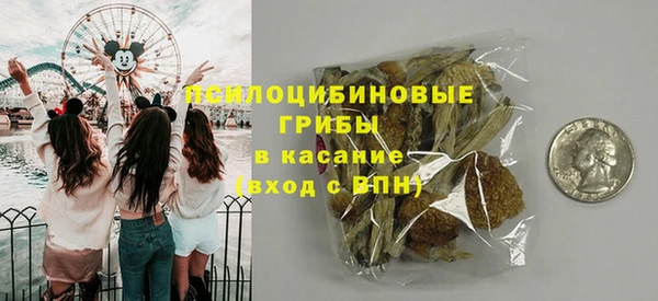 прущие крисы Лабытнанги
